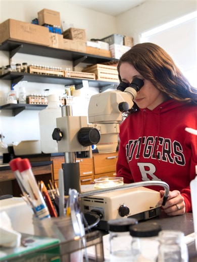 Research at Rutgers
