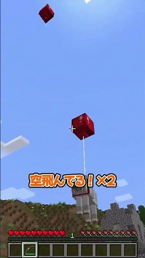 I just wanted to help him fly with balloons... #Minecraft #Minecraft